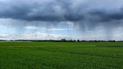 Agrometeorology: more precipitation may fall in Transdanubia, but it will hardly rain in many places in Tiszántúl