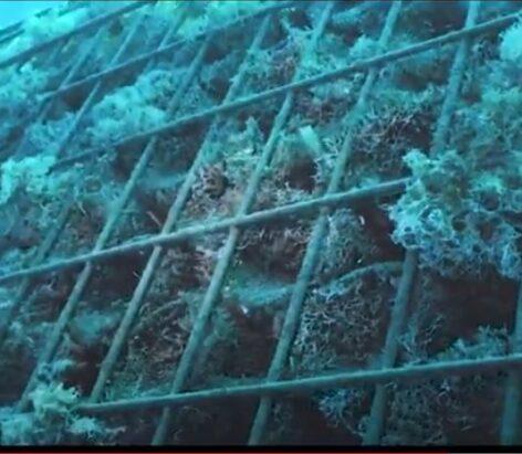 A tökéletes pezsgőpince: 60 méterrel a tengerszint alatt – A nap videója