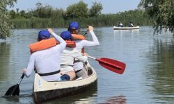 A surprising result was achieved at the 6th Lake Tisza PET Cup