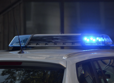 Europol: az élelmiszerbűnözés új keletű jelenség