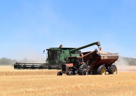 Winter wheat is being harvested in Zala County