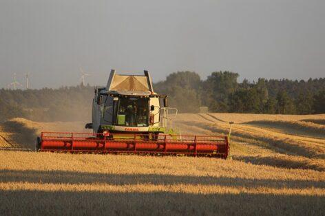 The fall barley harvest is over