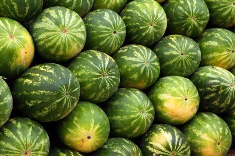 Domestic melon production can be strengthened through cooperation