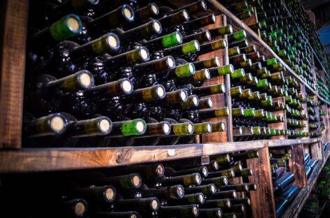 The government helps the grape and wine sector with more favorable waste management fees