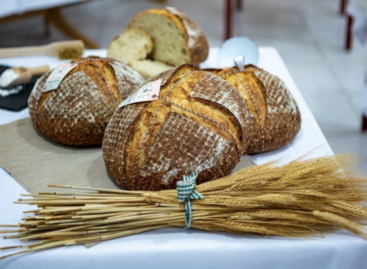 This is how the bread competition of the Hungarian Bakers’ Association ended
