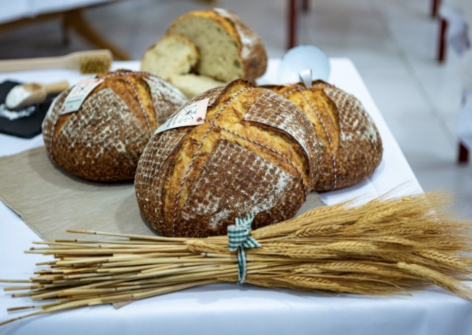 Így zárult a Magyar Pékszövetség kenyérversenye