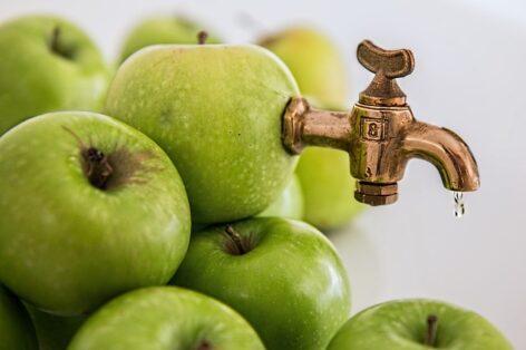 Új színfolt a KMÉ-palettán: a közvetlen préselésű almalé