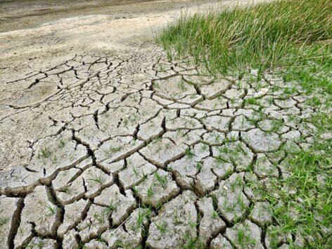 Másfélfok: An increasingly large area of Hungary may be affected by drought