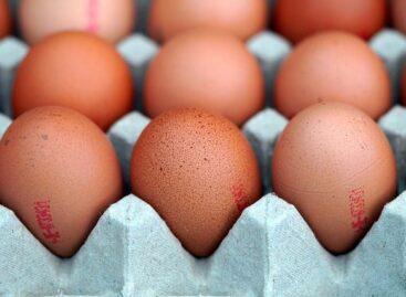 Chicken and eggs are getting more expensive: another wave of price increases hits Hungarian households