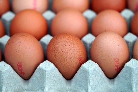 The price of eggs at the packing point is 65 percent higher than a year ago