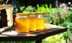 Agroinform.hu: this season brought the worst acacia honey harvest in the past 2-3 decades