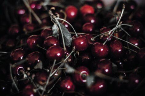 Majority of Hungarian sour cherry exported to Germany
