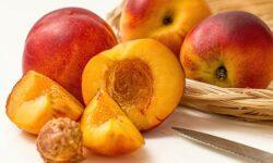 2025 brought an unpredictable season to the stone fruit market