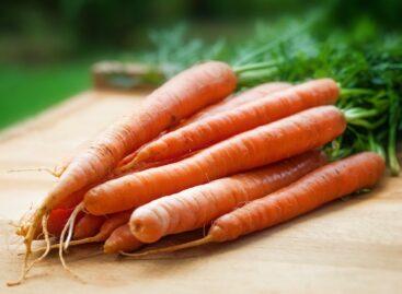 The price of carrots doubled in one month