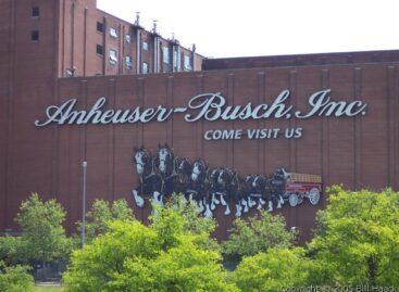 Bill Gates buys Anheuser-Busch shares during Bud Light slump