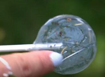 The lollipop as a symbol of sustainability – Video of the day