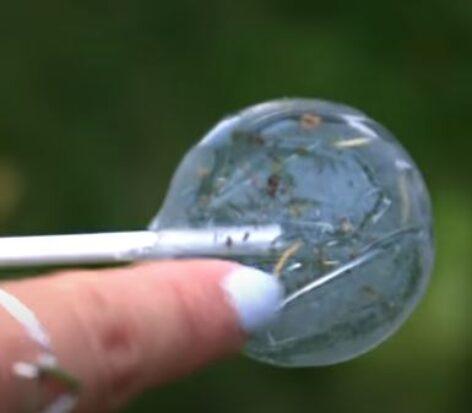 The lollipop as a symbol of sustainability – Video of the day