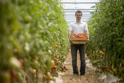 Organic farming can be strengthened in Hungary