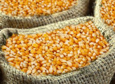 Corn sowing begins in Zala County