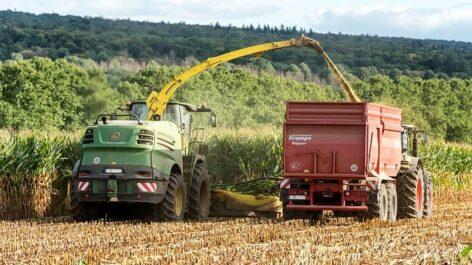 Harvesting of sunflowers and corn has begun in Békés County