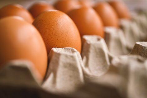 The price of eggs at the packing point is 59 percent higher than a year ago