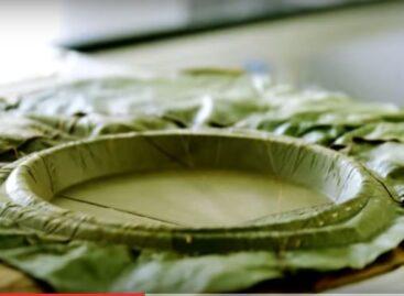 His plate is made of leaves – Video of the day