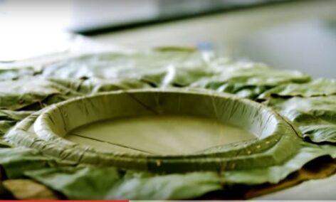 His plate is made of leaves – Video of the day