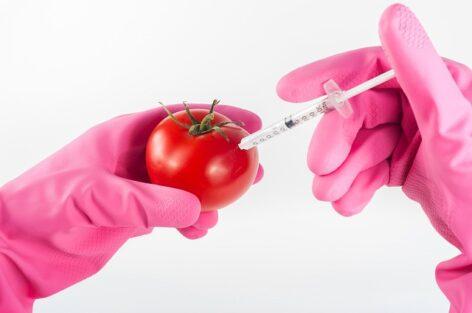 The international regulation of GMOs is 20 years old