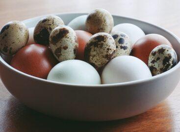 There is great potential in domestic quail egg production