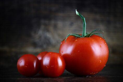 The tomato, or fruit, is among the vegetables