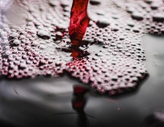 Több, mint 5 millió forint adomány a jótékonysági borárverés eredményeként