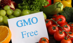 This is our last chance to control GMOs