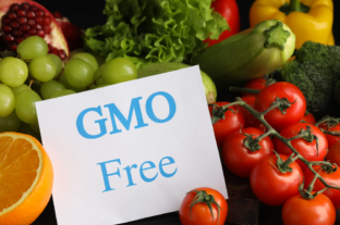 This is our last chance to control GMOs