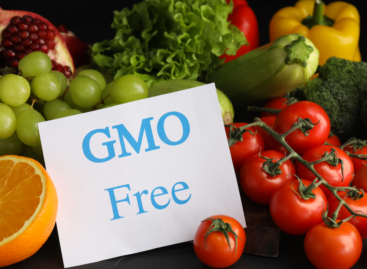 Magyarország GMO-mentességének megőrzéséért indult petíció