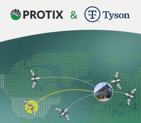 Rovarfehérje-gyártó start-uppal együttműködve fejleszt alapanyaggyárat a Tyson Foods