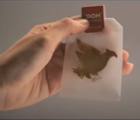 Interaktív teafilter – A nap videója