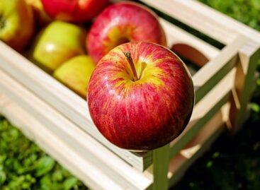 A significant decline is expected in this year’s apple harvest in Hungary