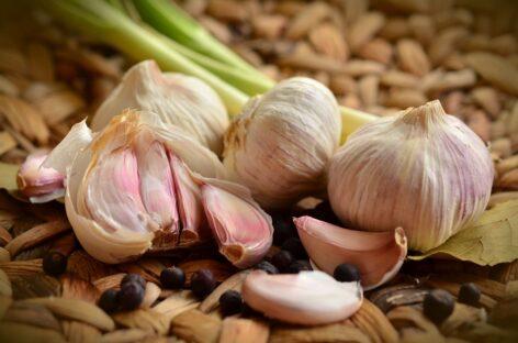 The production area and yield of garlic is also decreasing