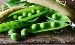 Green pea foreign trade balance is positive