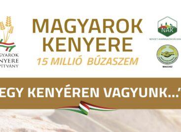 Fiatal agrárszakembereket díjazott a Magyarok Kenyere Program