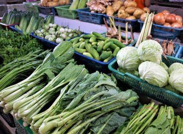 The National Chamber of Agrarian Economy and the European Fresh Team program handed over 100 kilograms of vegetables and fruits