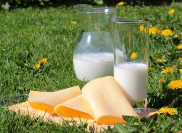 Újra megjelent a piacon az olcsó külföldi dobozos tej és a félkemény sajt, ellehetetleníti a hazai tejipar működését