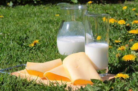Újra megjelent a piacon az olcsó külföldi dobozos tej és a félkemény sajt, ellehetetleníti a hazai tejipar működését