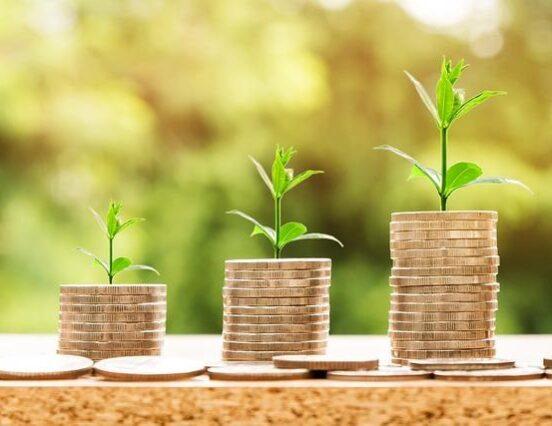 Viski József: az alkalmazkodás és a versenyképesség kulcsfontosságú a kertészeti ágazat számára