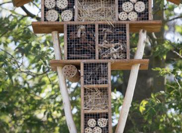ALDI “opened” insect hotels