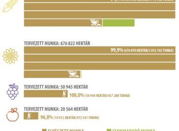 The average yield of potatoes is 25 percent higher than in 2022