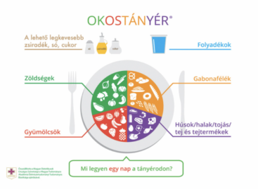 Students from Budapest and Gyula won the national Knowledge Test of Hungarian Dietitians