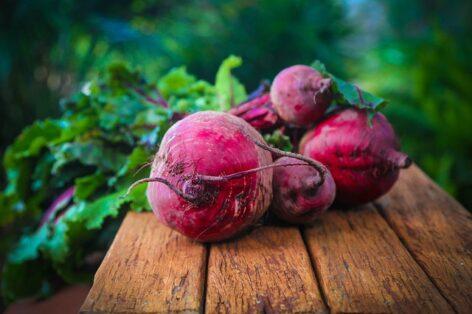 The renaissance of the beetroot: a superfood in the kitchen and garden