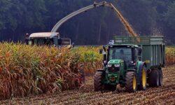 Autumn harvest nears end in Békés County
