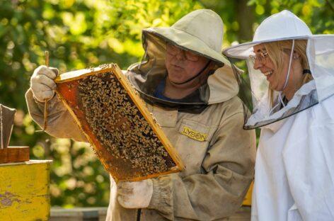 Kaptár örökbefogadással népszerűsíti a hazai mézet egy hartai termelő